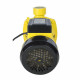 Bomba de Agua centrifuga 2x2" 2hp 300 l/min BC 620 Forest And Garden MI-FYG-046037