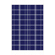 Panel Solar Policristalino 10W 327x245x17mm Want Energia 35492