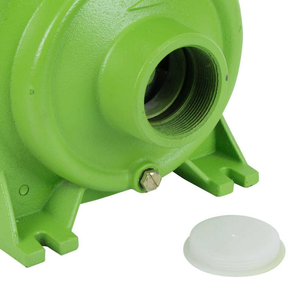 Bomba de Agua centrifuga 2”x2” 2hp 300L/min BC 620/1/25 Forest And Garden MI-FYG-054799